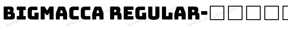 BIGMACCA Regular字体转换